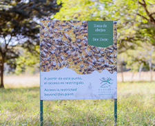 Proyecto de Apiario de abejas en Reserva Conchal