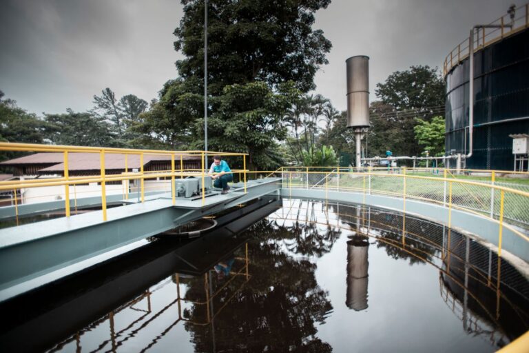Neutralizing the water footprint: four essential steps for companies