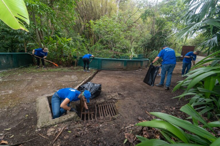 Parque Simón Bolívar se transforma con el apoyo de 60 voluntarios de FIFCO