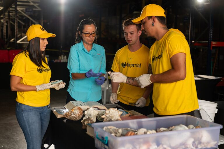 Proyecto “De Vuelta a Casa” gana reconocimiento en Premios AmCham Negocios Sostenibles 2025